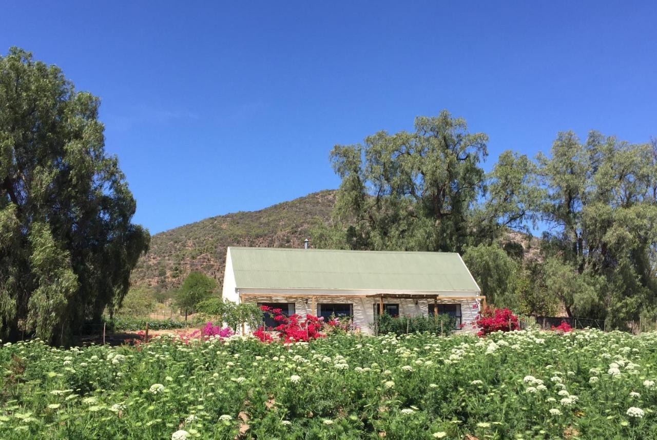 Pepper Tree Cottage De Rust Luaran gambar